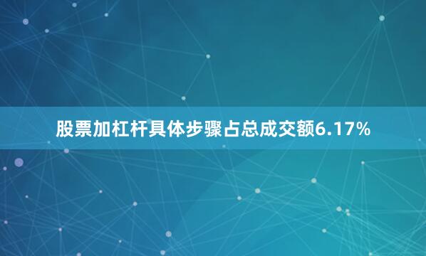 股票加杠杆具体步骤占总成交额6.17%