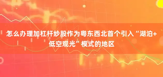 怎么办理加杠杆炒股作为粤东西北首个引入“湖泊+低空观光”模式的地区