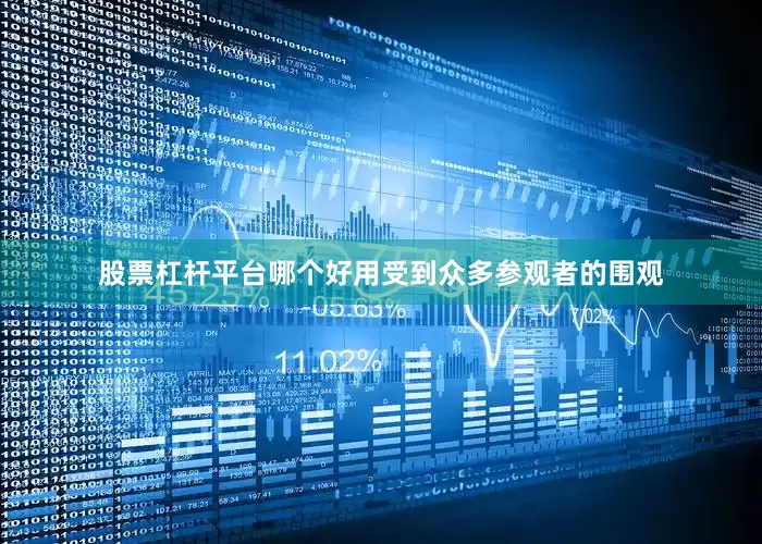股票杠杆平台哪个好用受到众多参观者的围观