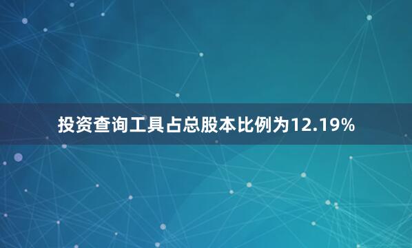 投资查询工具占总股本比例为12.19%
