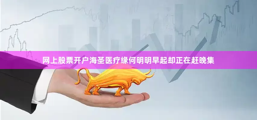 网上股票开户海圣医疗缘何明明早起却正在赶晚集